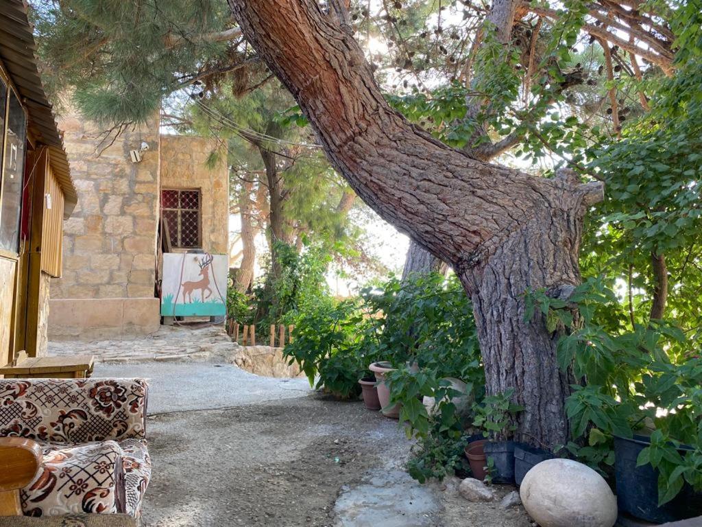 Dana Moon Hostel Exterior photo