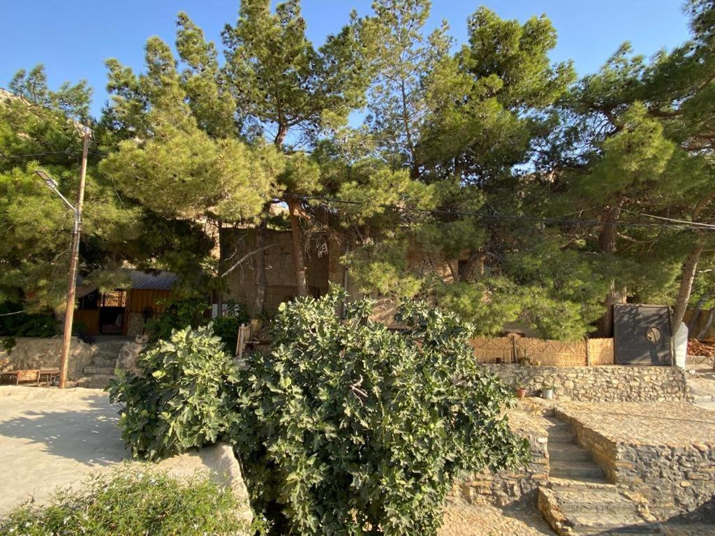 Dana Moon Hostel Exterior photo