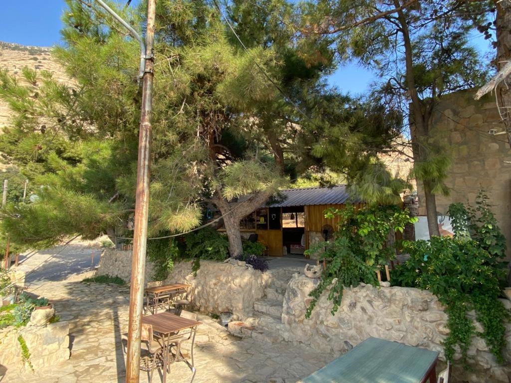 Dana Moon Hostel Exterior photo